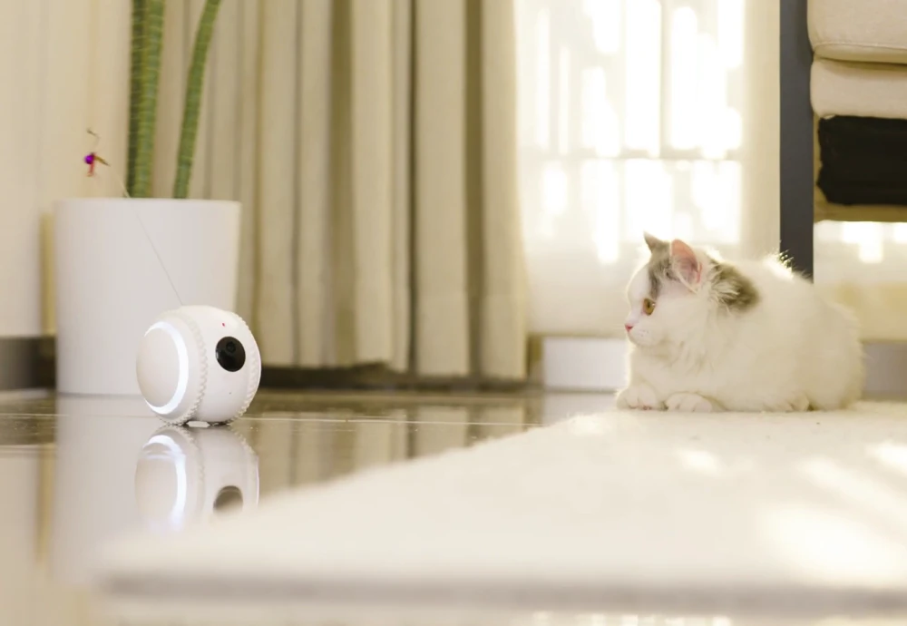 what is the best pet camera